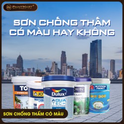 Sơn chống thấm có màu gì