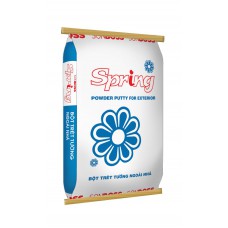 Bột trét tường trong nhà Spring Power Putty Int